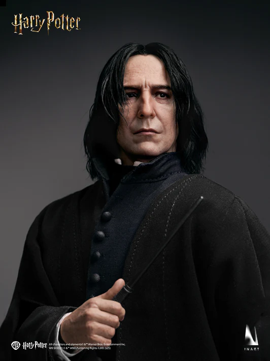 Harry Potter Sixth Scale Figures